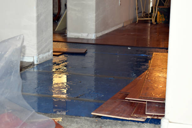 Professional Water Damage technician working in Wellman, TX