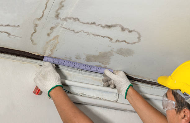 Reliable Water Damage contractor in Wellman, TX by Water Damage Irwin